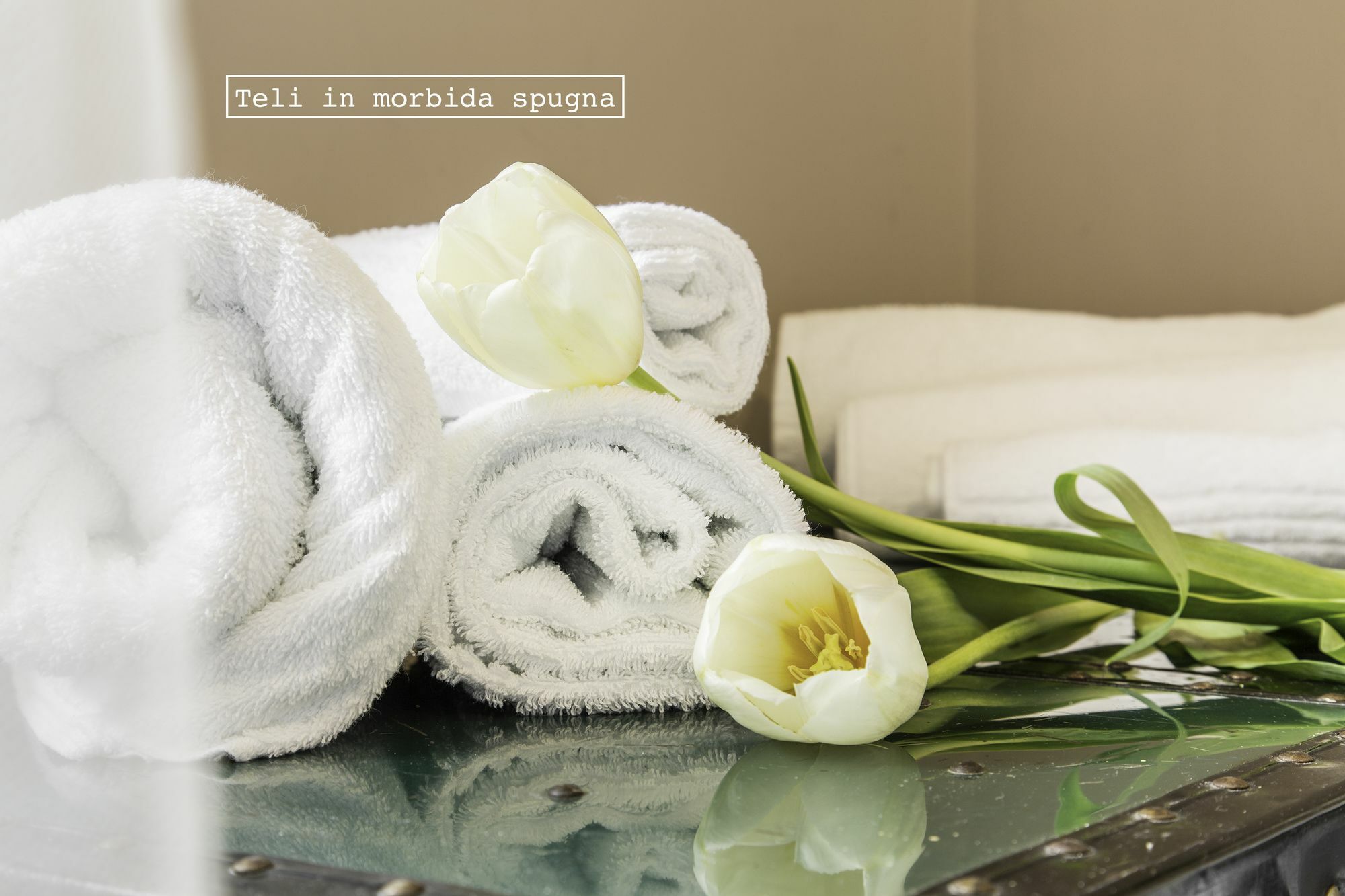 Roma Talenti Breme B&B Extérieur photo