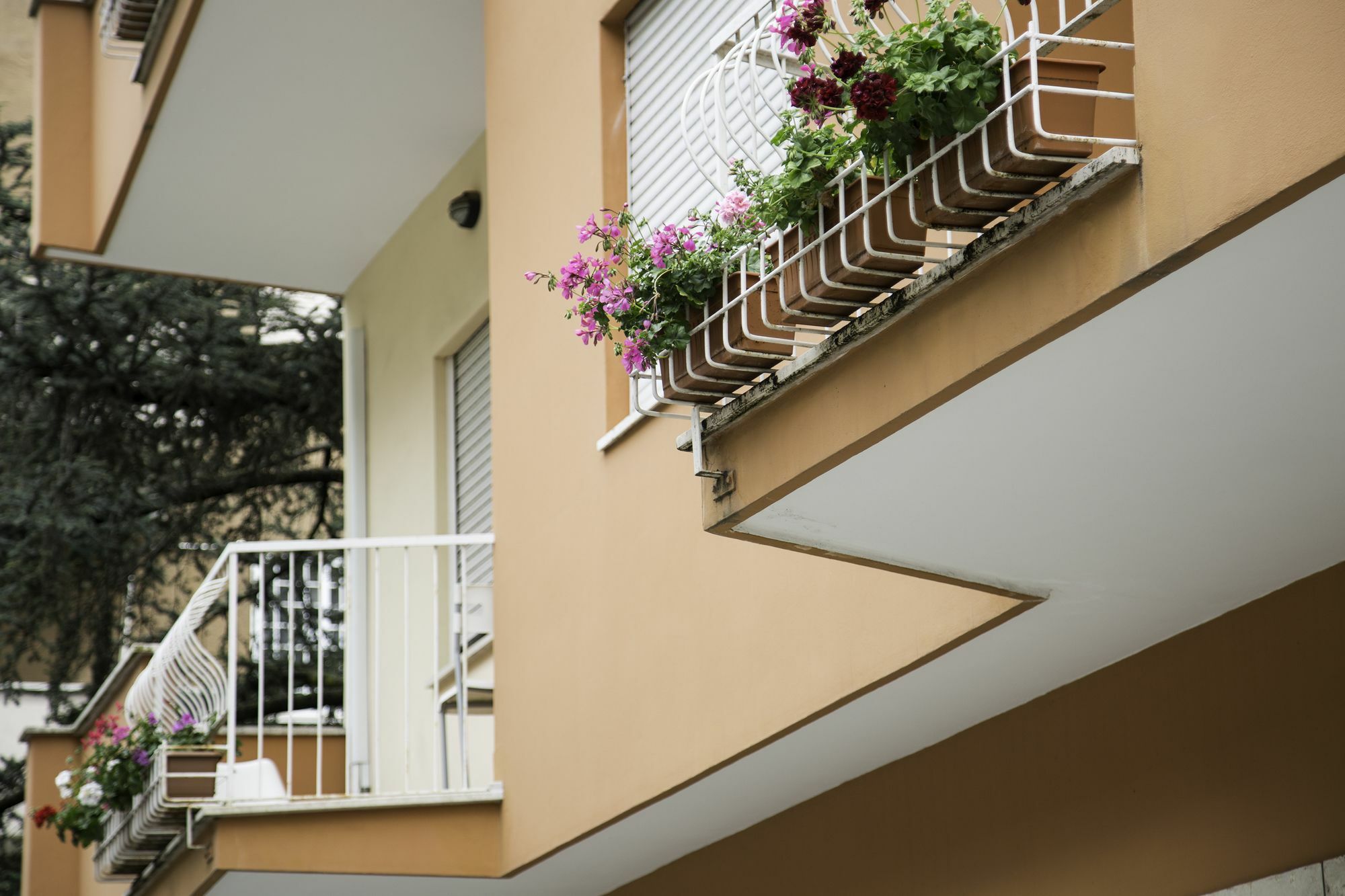 Roma Talenti Breme B&B Extérieur photo